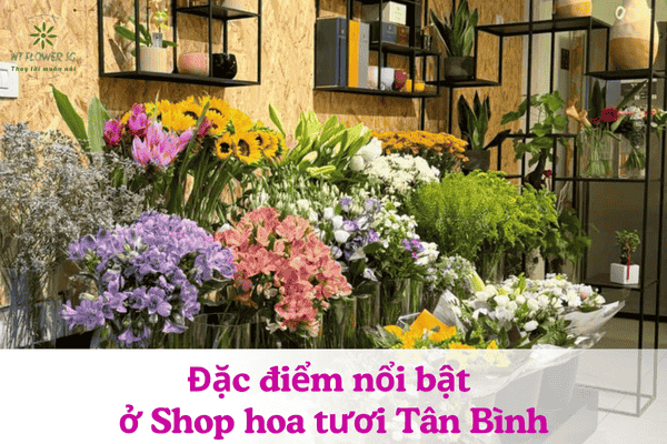Shop Hoa Tươi Quận Tân Bình - Giao Nhanh Chỉ 30 Phút